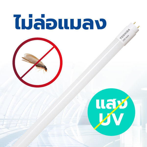 หลอด LED Tube T8 ไม่มี UV